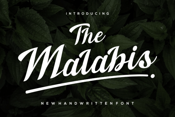The Malabis: A Script Font That Elevates Digital Campaigns with Elegance